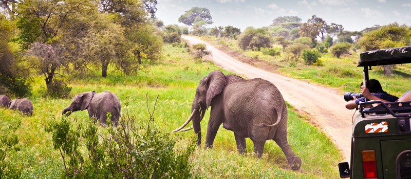 Guided Travel Tours are a Great Experience
